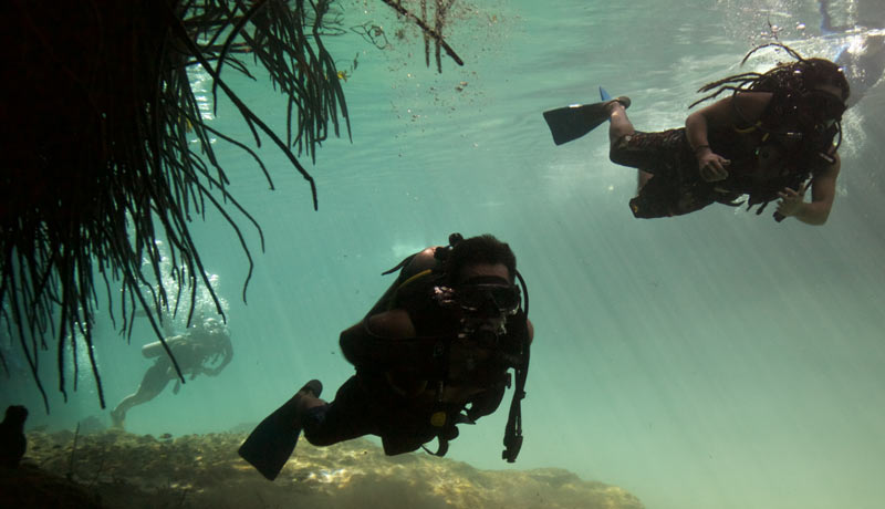 diving casa cenote